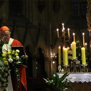 Kardinalov pozdrav na Misi nastupa Nuncija Lingue